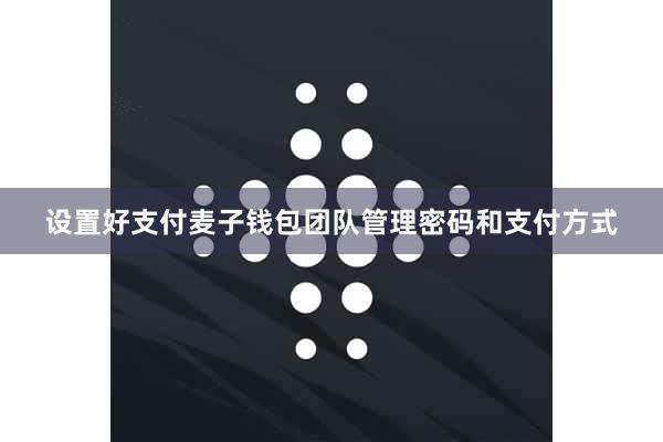 设置好支付麦子钱包团队管理密码和支付方式