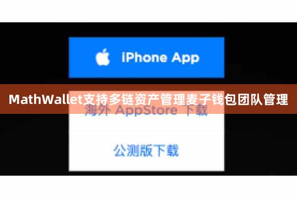 MathWallet支持多链资产管理麦子钱包团队管理