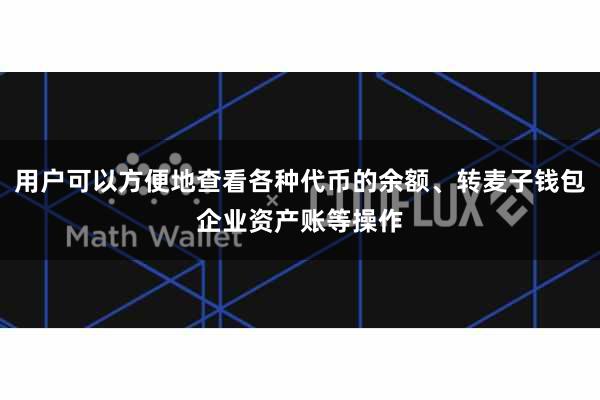 用户可以方便地查看各种代币的余额、转麦子钱包企业资产账等操作